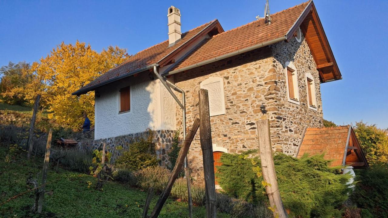 Sarkanyles Vendeghaz Kisapati Exteriér fotografie