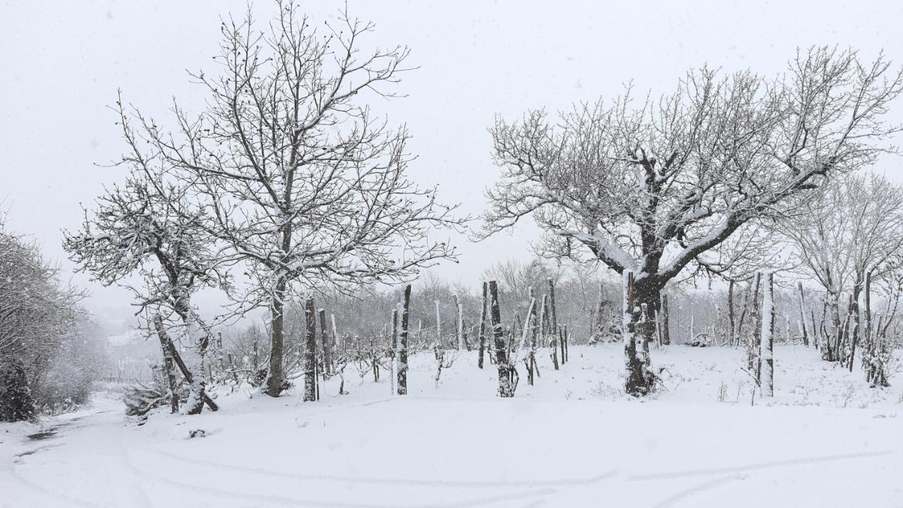 Sarkanyles Vendeghaz Kisapati Exteriér fotografie